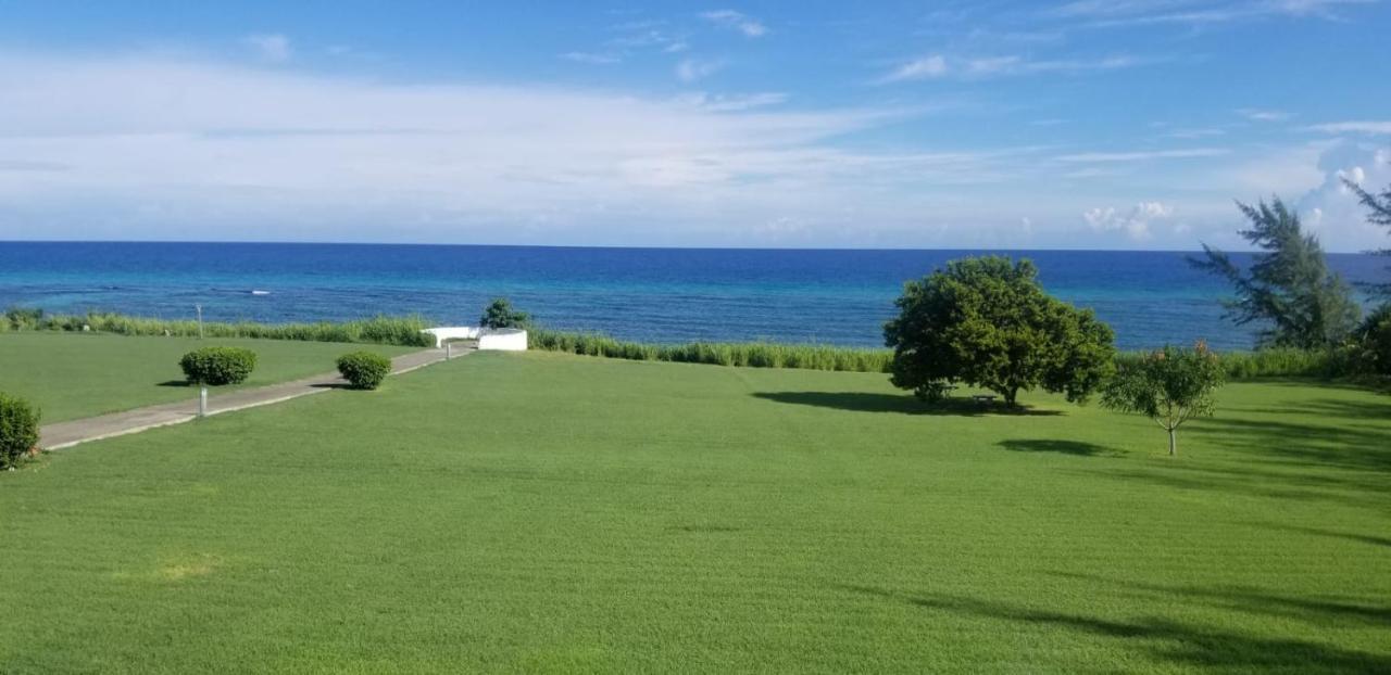 C'Daview Apartment Suite Montego Bay Ngoại thất bức ảnh